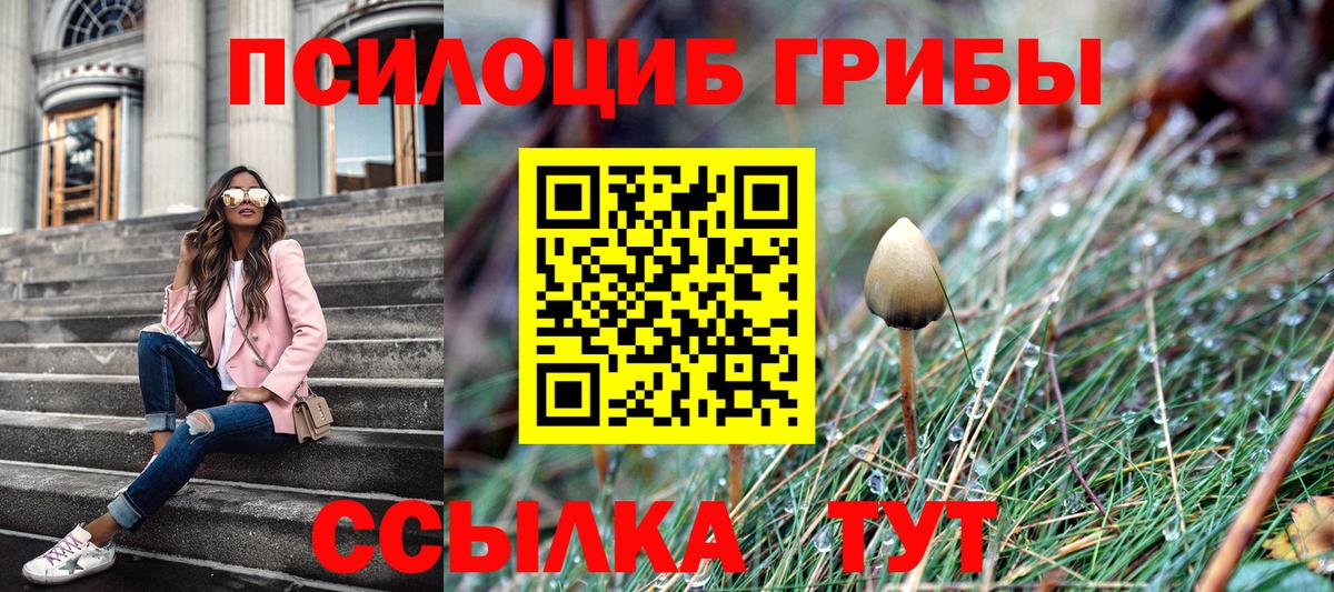 Псилоцибиновые грибы GOLDEN TEACHER Новоуральск