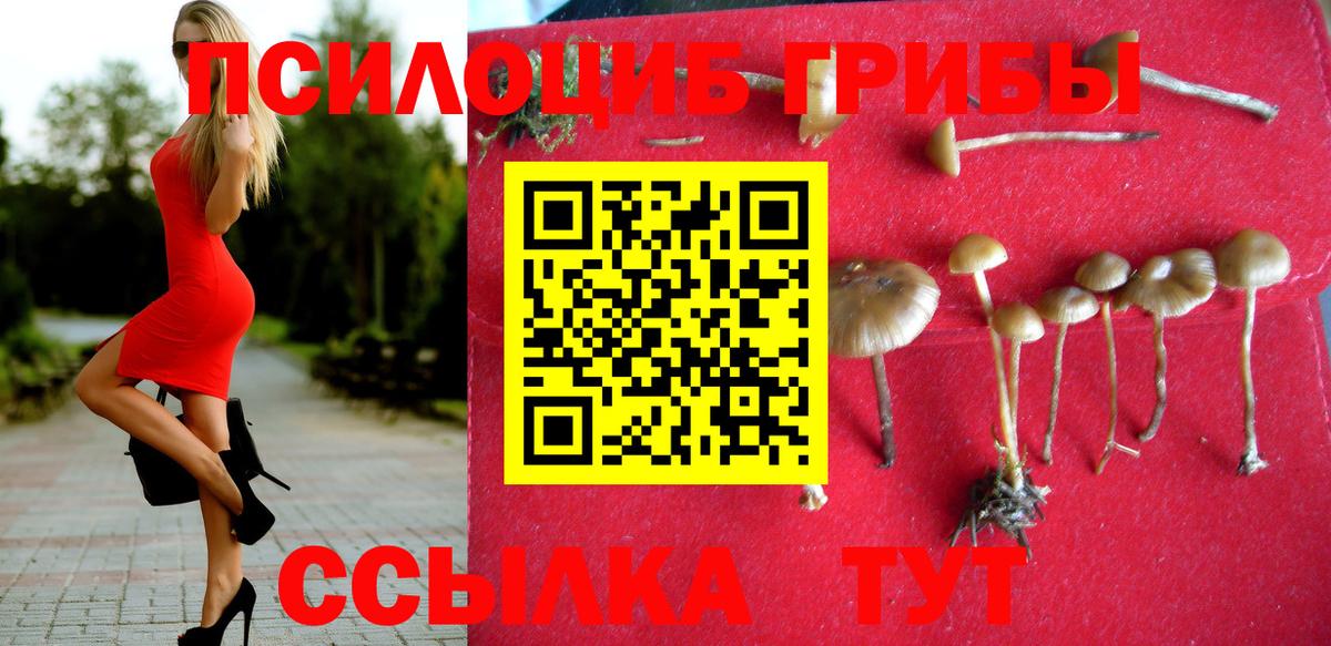закладка  Псилоцибиновые грибы Psilocybe  Вход с VPN  Новоуральск 